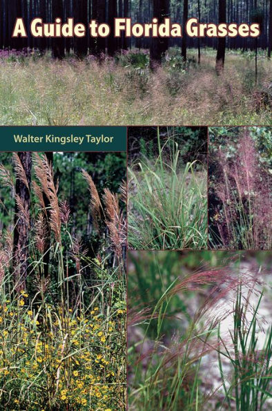 A Guide to Florida Grasses