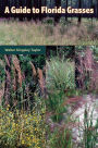 A Guide to Florida Grasses