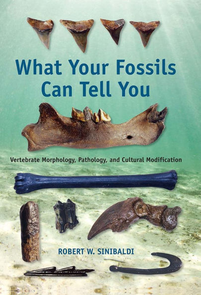 What Your Fossils Can Tell You: Vertebrate Morphology, Pathology, and Cultural Modification