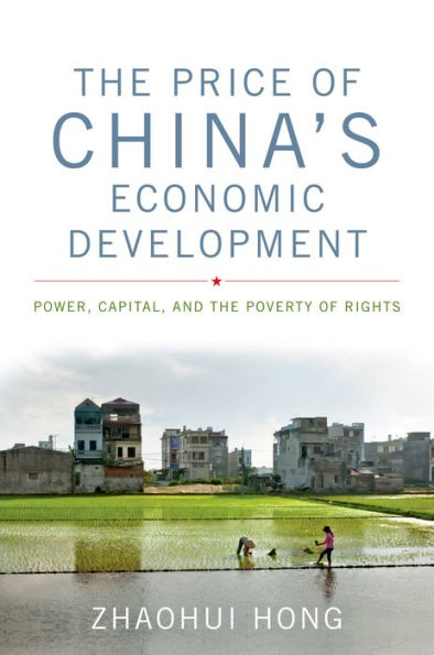 the Price of China's Economic Development: Power, Capital, and Poverty Rights