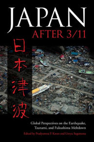 Title: Japan after 3/11: Global Perspectives on the Earthquake, Tsunami, and Fukushima Meltdown, Author: Pradyumna P. Karan