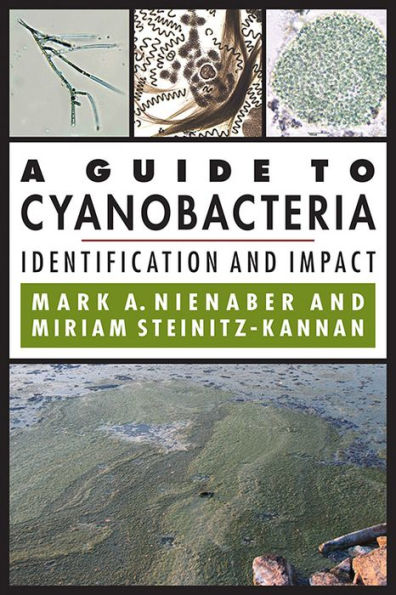 A Guide to Cyanobacteria: Identification and Impact