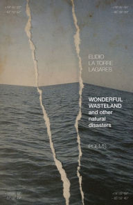 Title: Wonderful Wasteland and other natural disasters: Poems, Author: Elidio La Torre Lagares