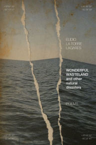 Title: Wonderful Wasteland and other natural disasters: Poems, Author: Elidio La Torre Lagares