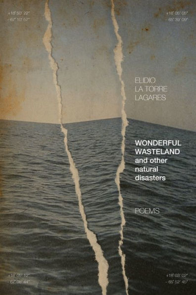 Wonderful Wasteland and other natural disasters: Poems