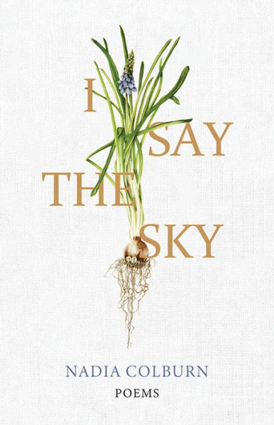 I Say the Sky: Poems