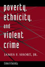 Poverty, Ethnicity, And Violent Crime / Edition 1
