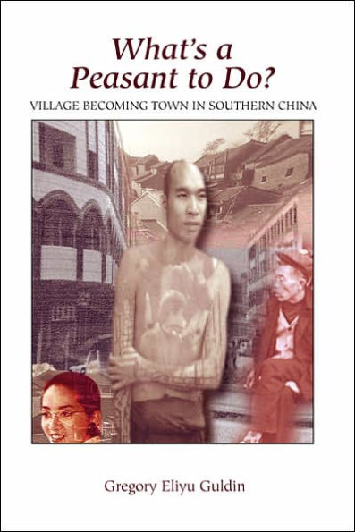 What's A Peasant To Do? Village Becoming Town In Southern China / Edition 1
