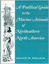 Title: A Practical Guide to the Marine Animals of Northeastern North America, Author: Leland Pollock