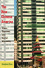 The New Chinese America: Class, Economy, and Social Hierarchy