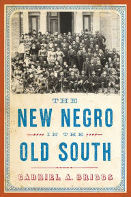 Title: The New Negro in the Old South, Author: Gabriel A. Briggs