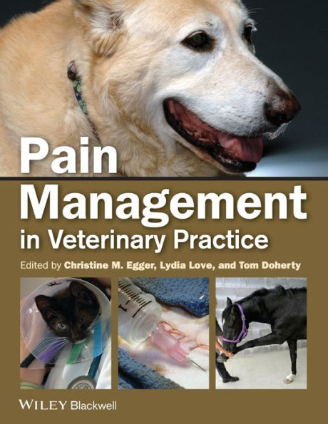 Pain Management in Veterinary Practice / Edition 1