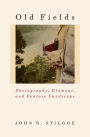 Old Fields: Photography, Glamour, and Fantasy Landscape