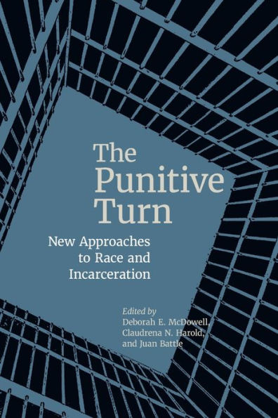 Punitive Turn: New Approaches to Race and Incarceration