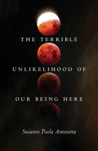 Download books ipod touch The Terrible Unlikelihood of Our Being Here 9780814257807