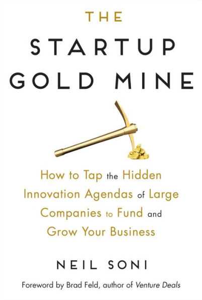 the Startup Gold Mine: How to Tap Hidden Innovation Agendas of Large Companies Fund and Grow Your Business