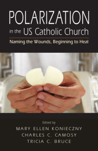 Title: Polarization in the US Catholic Church: Naming the Wounds, Beginning to Heal, Author: Mary Ellen Konieczny