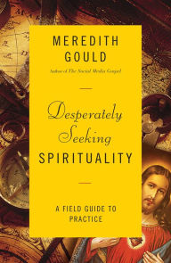 Title: Desperately Seeking Spirituality: A Field Guide to Practice, Author: Meredith Gould