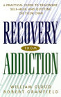 Recovery from Addiction: A Practical Guide to Treatment, Self-Help, and Quitting on Your Own