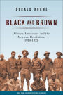 Black and Brown: African Americans and the Mexican Revolution, 1910-1920 / Edition 1