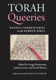 Title: Torah Queeries: Weekly Commentaries on the Hebrew Bible, Author: Gregg Drinkwater