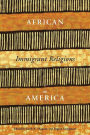 African Immigrant Religions in America