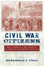 Civil War Citizens: Race, Ethnicity, and Identity in America's Bloodiest Conflict