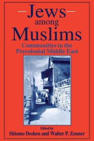 Title: Jews Among Muslims: Communities in the Precolonial Middle East, Author: Shlomo Deshen