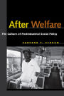 After Welfare: The Culture of Postindustrial Social Policy