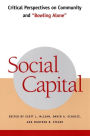 Social Capital: Critical Perspectives on Community and 