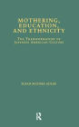 Mothering, Education, and Ethnicity: The Transformation of Japanese American Culture / Edition 1