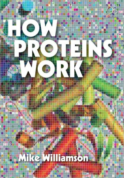 How Proteins Work / Edition 1