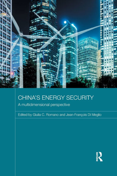 China's Energy Security: A Multidimensional Perspective