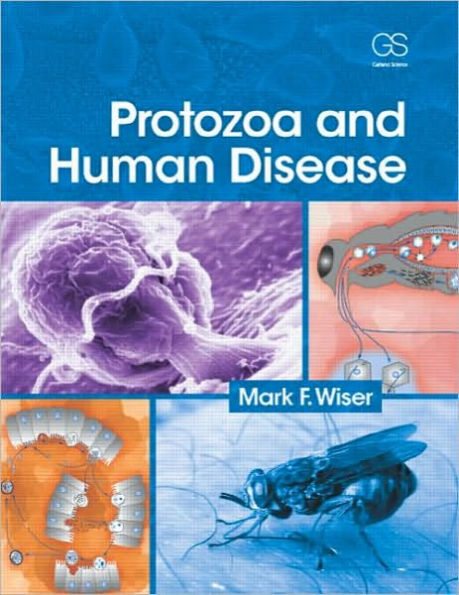 Protozoa and Human Disease / Edition 1
