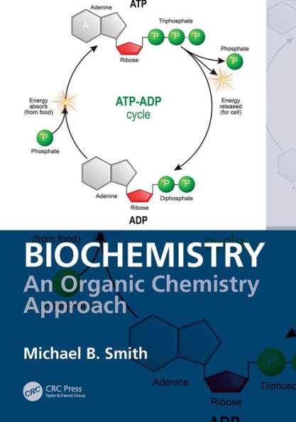 Biochemistry: An Organic Chemistry Approach / Edition 1