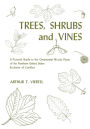 Trees, Shrubs, and Vines: A Pictorial Guide to the Ornamental Woody Plants of the Northeastern United States Exclusive of Conifers / Edition 1