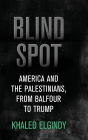 Blind Spot: America and the Palestinians, from Balfour to Trump