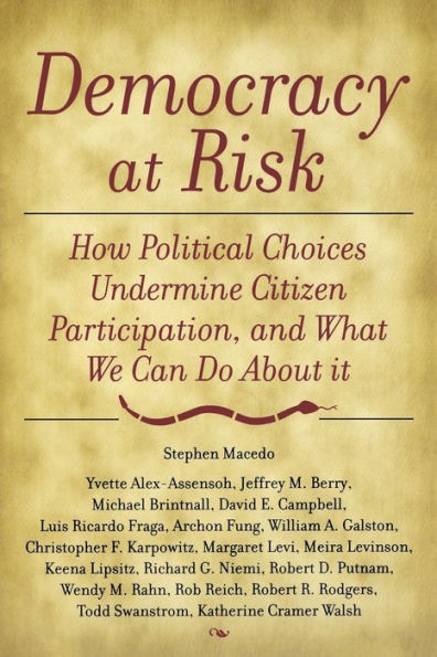 Democracy at Risk: How Political Choices Undermine Citizen Participation, and What We Can Do About It / Edition 1