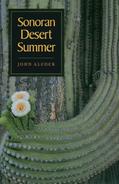 Sonoran Desert Summer