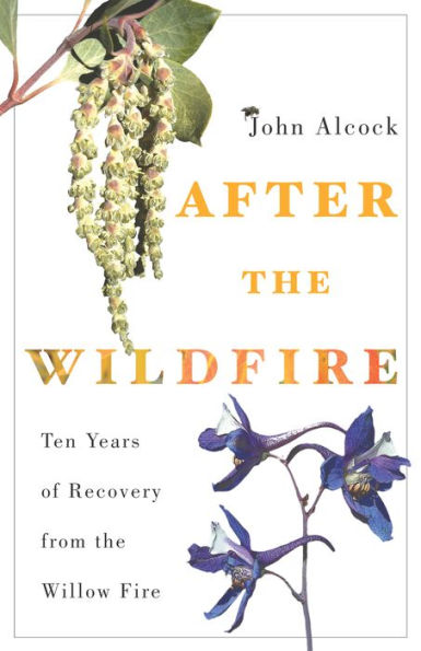 After the Wildfire: Ten Years of Recovery from the Willow Fire