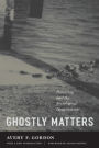 Ghostly Matters: Haunting and the Sociological Imagination