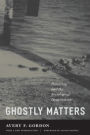 Ghostly Matters: Haunting and the Sociological Imagination / Edition 2