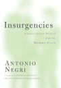 Insurgencies: Constituent Power and the Modern State