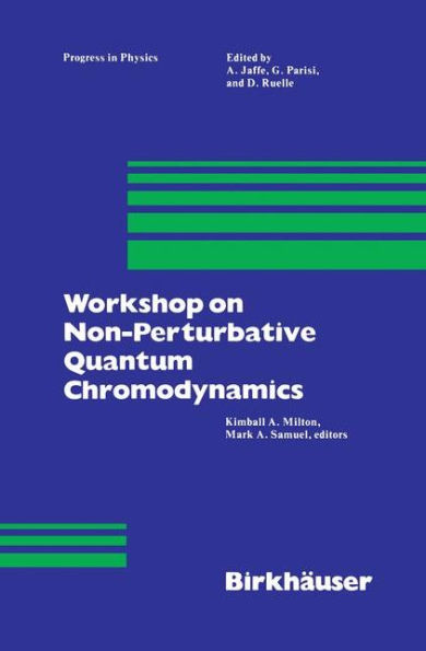 Workshop on Non-Perturbative Quantum Chromodynamics / Edition 1