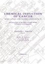 Chemical Induction of Cancer: Modulation and Combination Effects an Inventory of the Many Factors which Influence Carcinogenesis / Edition 1