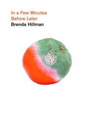 Title: In a Few Minutes Before Later, Author: Brenda Hillman