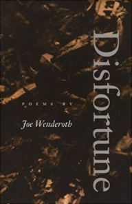 Title: Disfortune / Edition 1, Author: Joe Wenderoth