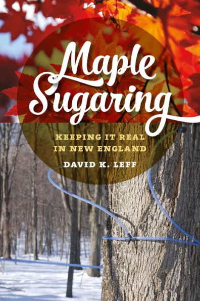 Maple Sugaring: Keeping It Real in New England