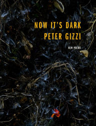 Free mobile epub ebook downloads Now It's Dark by Peter Gizzi (English Edition)