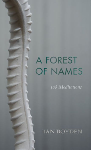 A Forest of Names: 108 Meditations